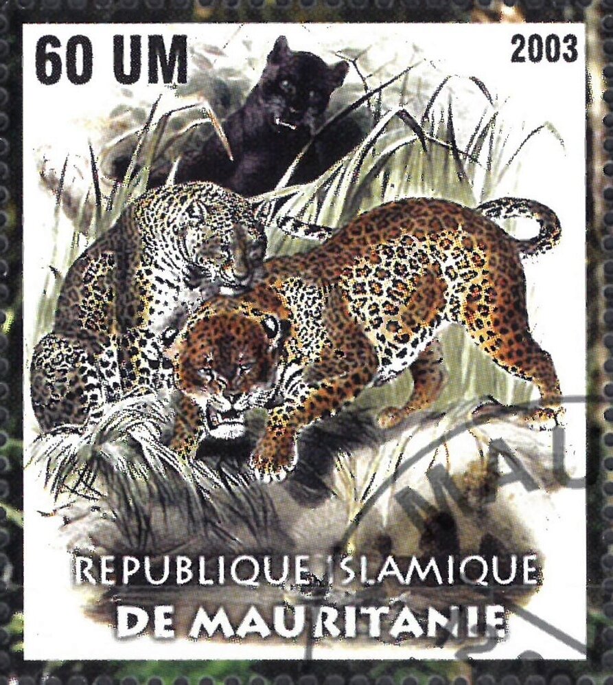 The Nature Conservancy