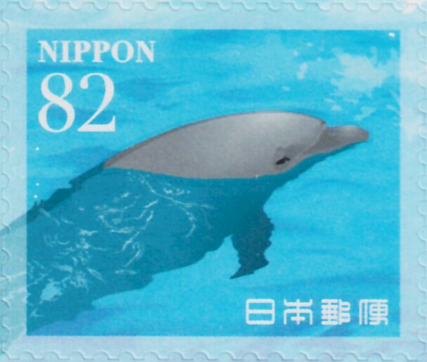 Dolphins