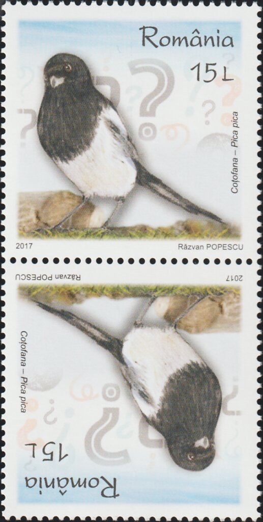 Common Magpie Tête-bêche Pair Type I