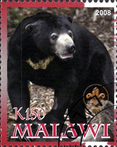 Stamp, Bear, Cinderellas,  , Animals (Fauna), Bears, Mammals
