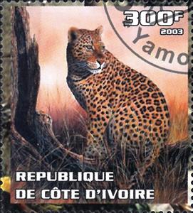 Stamp, Leopard, Cinderellas,  , Animals (Fauna), Cats, Leopards, Mammals