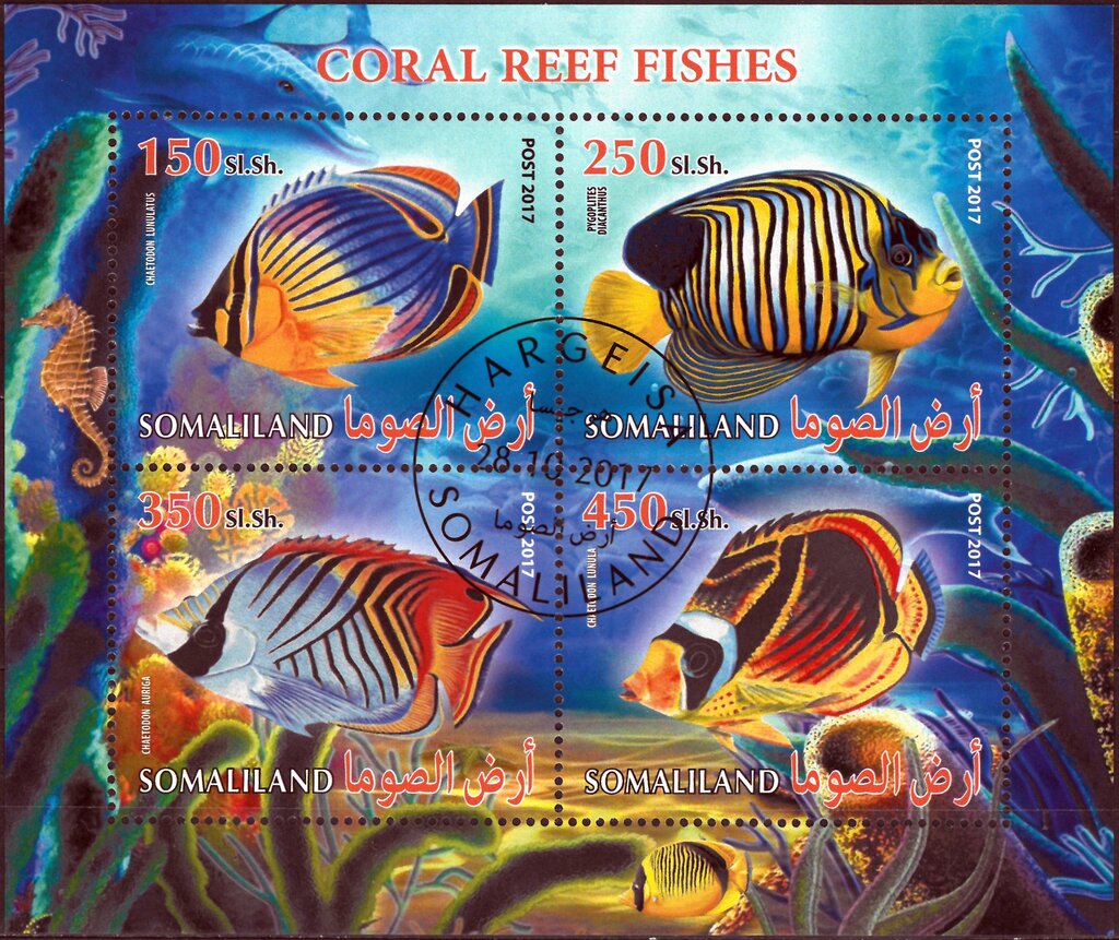 Coral Reef Fishes