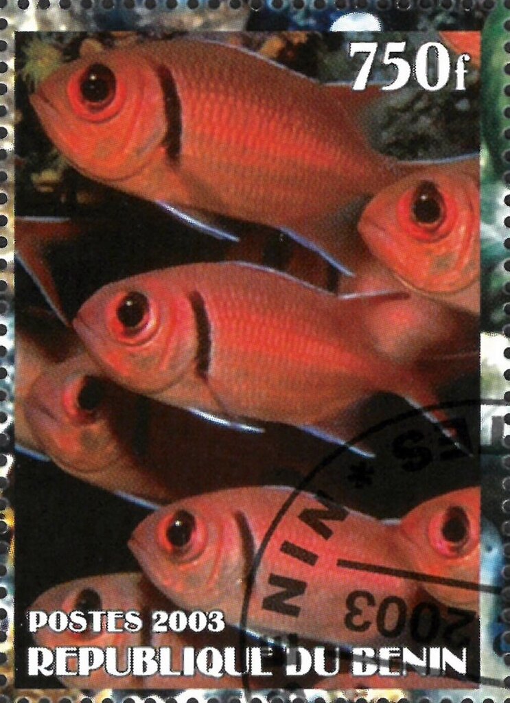Fish