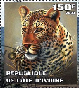 Stamp, Leopard, Cinderellas,  , Animals (Fauna), Cats, Leopards, Mammals