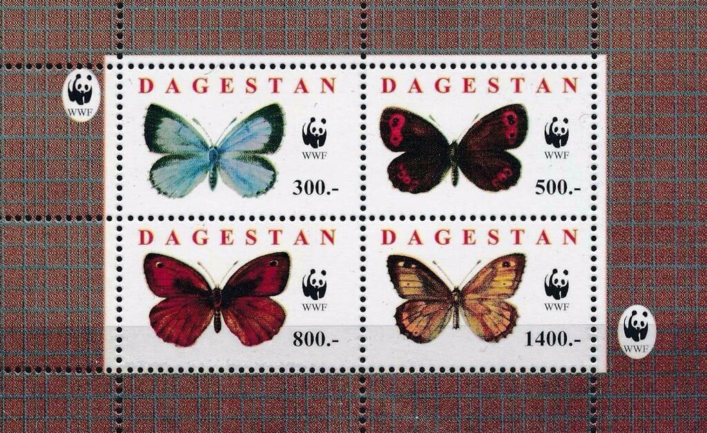 Butterflies