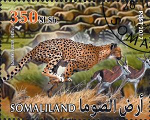 Stamp, Acinonyx Jubatus Jubatus, Cinderellas,  , Animals (Fauna)