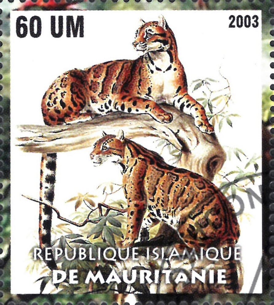 The Nature Conservancy