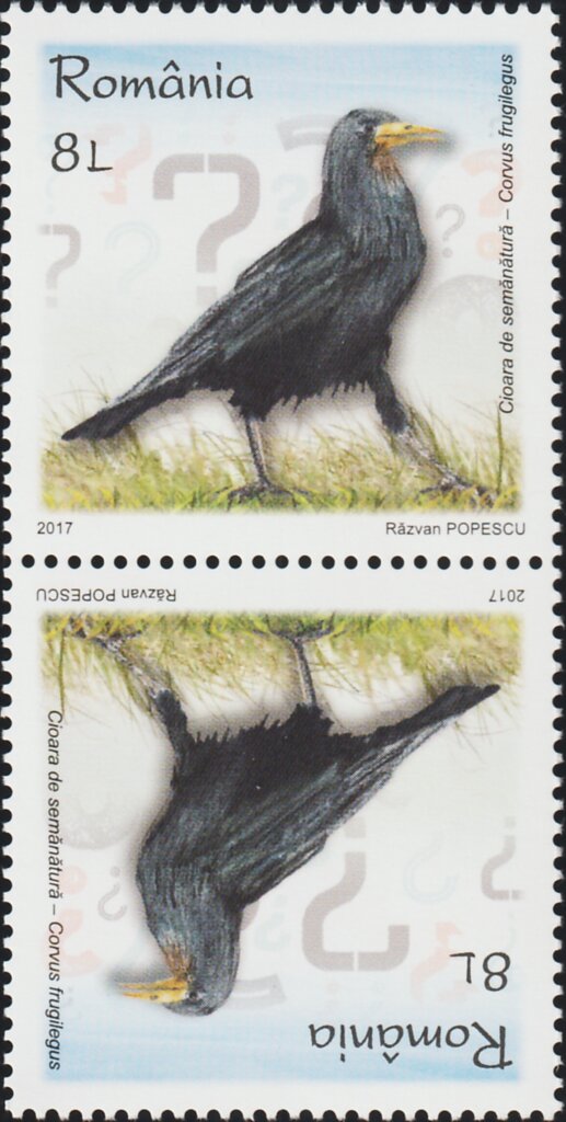 Rook Tête-bêche Pair Type I