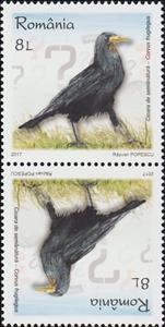 Tete-Beche, Rook Tête-bêche Pair Type I, Romania,  , Animals (Fauna), Birds