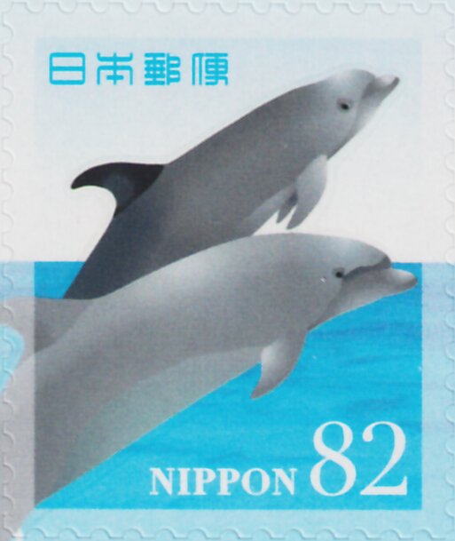 Dolphins