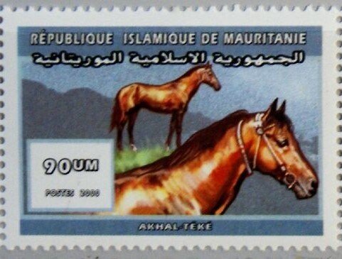Akhal-Teke horse