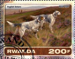 Stamp, English Setters, Cinderellas,  , Animals (Fauna), Dogs, Mammals