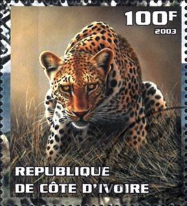 Stamp, Leopard, Cinderellas,  , Animals (Fauna), Cats, Leopards, Mammals