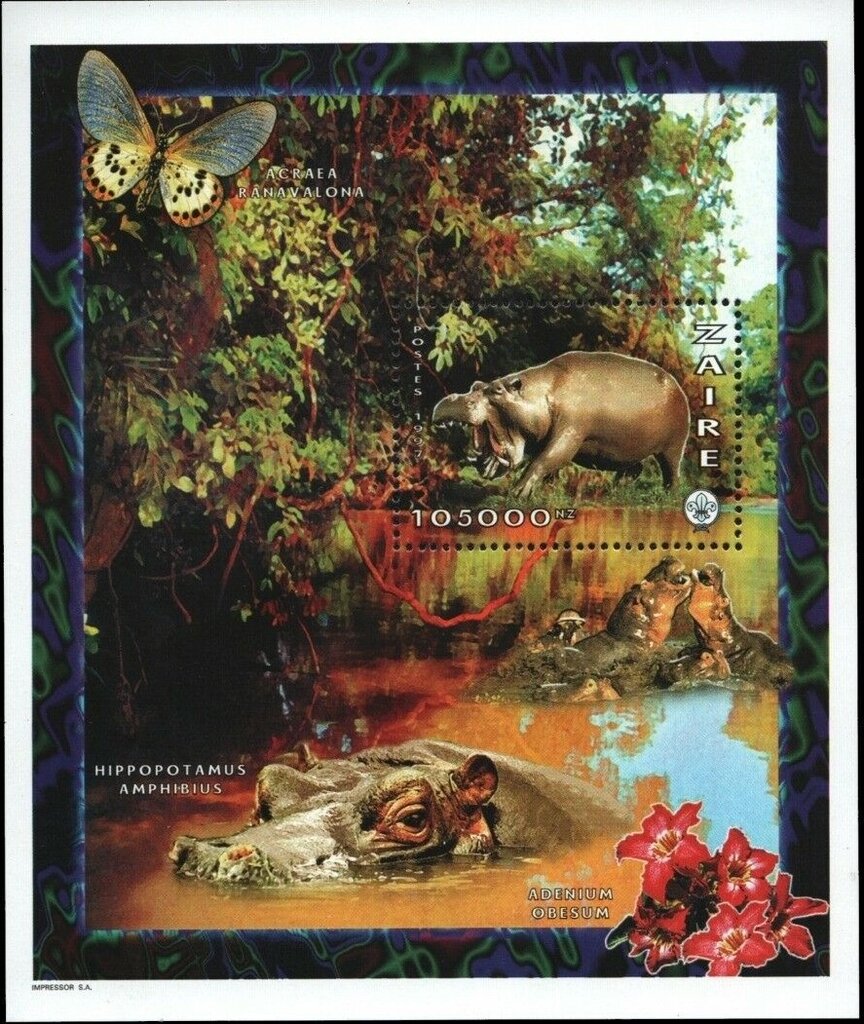 Hippopotamus (Hippopotamus amphibius)