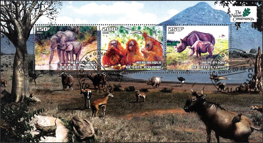 The Nature Conservancy