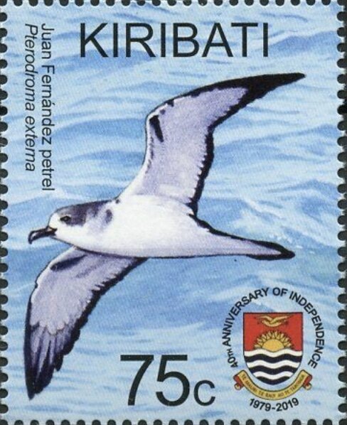 Juan Fernandez Petrel