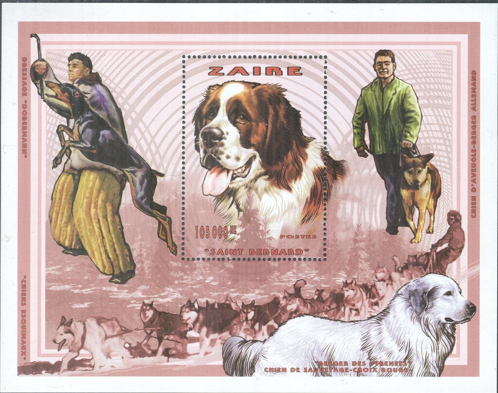 Saint Bernhards Dog (Canis lupus familiaris)