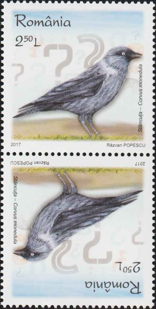 European Jackdaw Tête-bêche Pair Type I