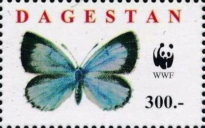 Butterflies