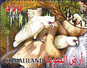Stamp, Cacatua Tenuirostris, Cinderellas,  , Animals (Fauna), Birds, Parrots