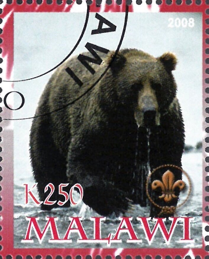 Bear