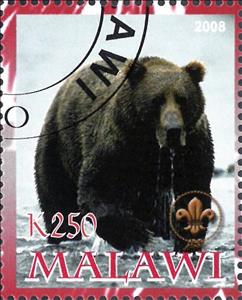 Stamp, Bear, Cinderellas,  , Animals (Fauna), Bears, Mammals