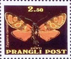 Zygaena carniolia