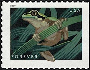 Stamp, Squirrel Tree Frog (Hyla squirella), United States of America,  , Amphibians, Animals (Fauna), Frogs