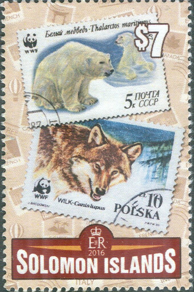 Polar Bear, Wolf