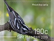 Stamp, Birds of Sint Maarten, Sint Maarten,  , Birds