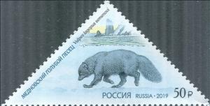 Stamp, Blue Arctic Fox (Alopex lagopus semenovi), Russia,  , Animals (Fauna), Foxes, Mammals