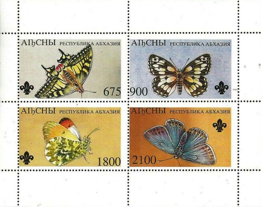 Butterflies