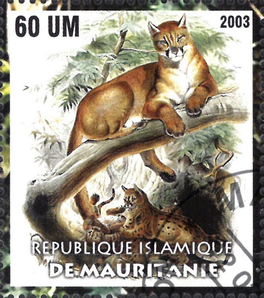 The Nature Conservancy