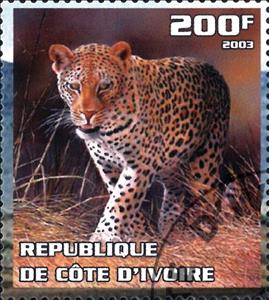 Stamp, Leopard, Cinderellas,  , Animals (Fauna), Cats, Leopards, Mammals