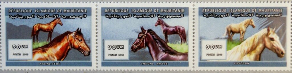 Horse breeds