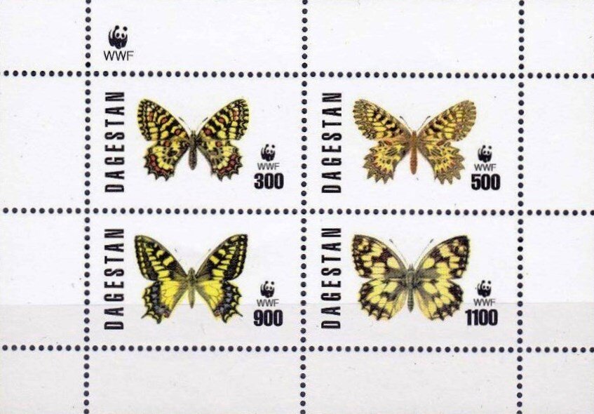 Butterflies