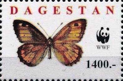 Butterflies