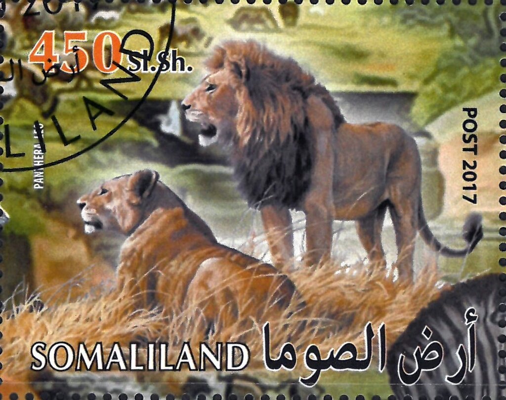 Panthera Leo