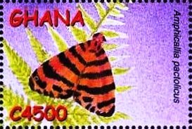 Stamp, Moth (Amphicallia pactolicus), Ghana,  , Animals (Fauna), Butterflies, Insects