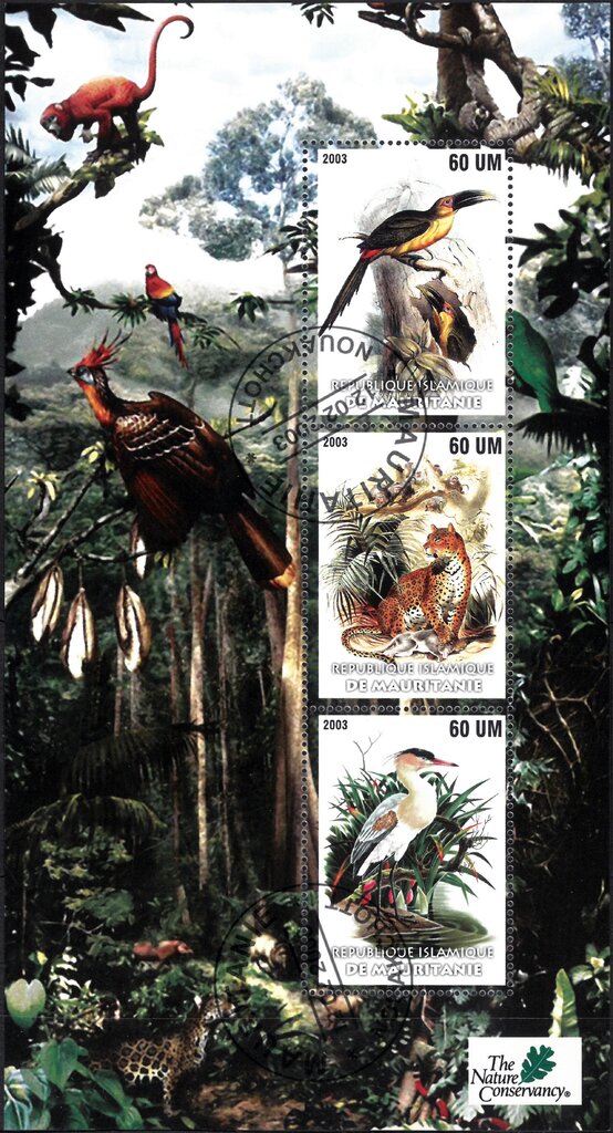 Fauna