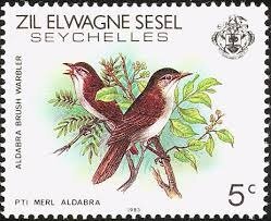 Nesillas aldabranus
