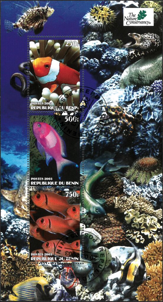 The Nature Conservancy