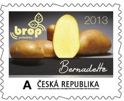 BROP 8 - Bernadette