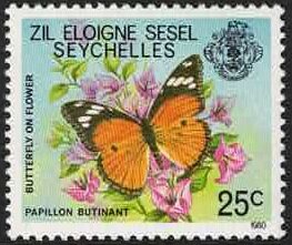 Danaid Eggfly (Hypolimnas misippus) - 1980