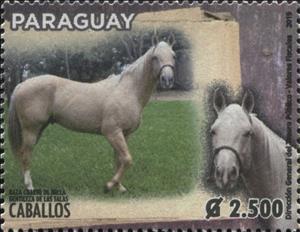 Stamp, Horse Breeds of Paraguay (Equus ferus caballos), Paraguay,  , Animals (Fauna), Horses, Mammals