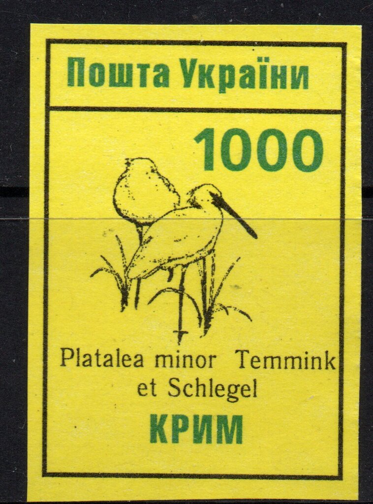 Platalea minor Temmink et Schlegel