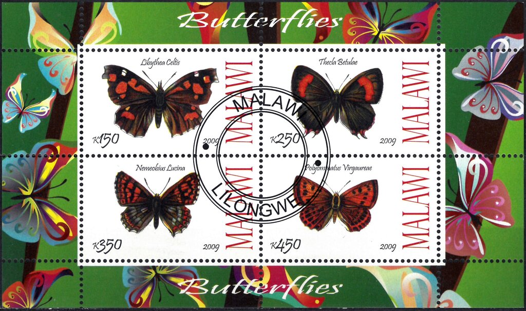 Butterflies