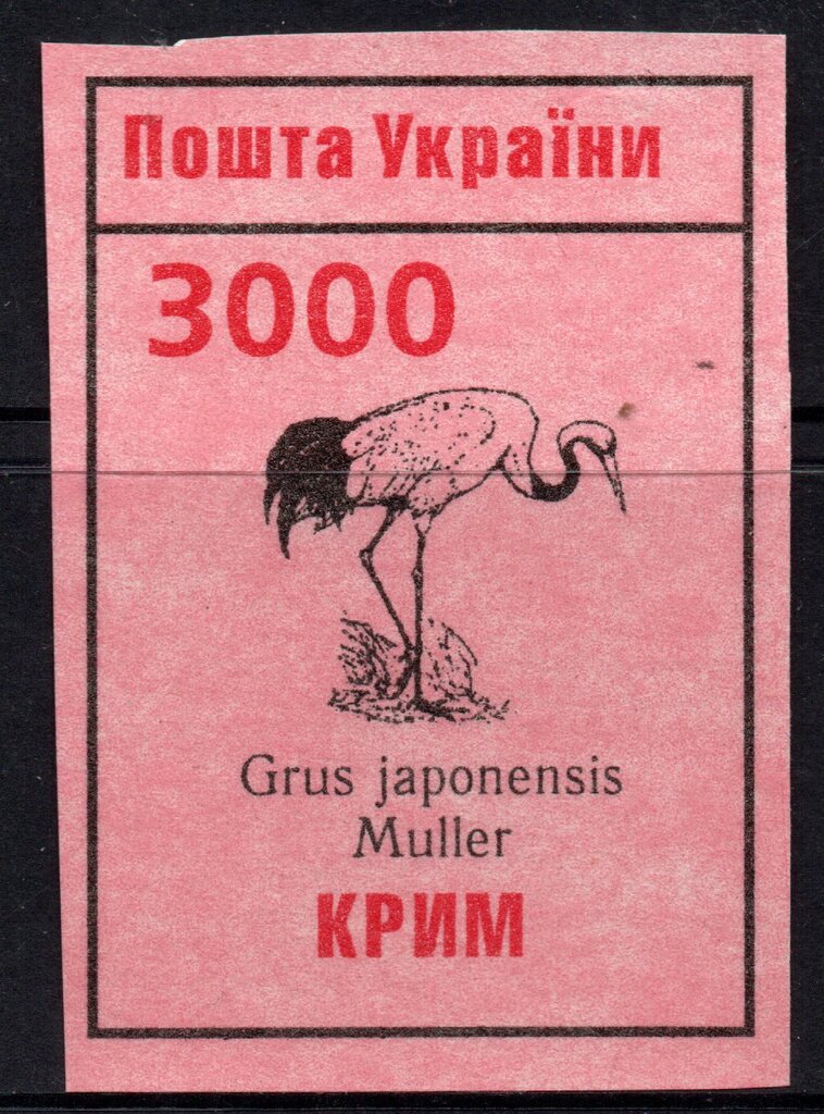CRANE : Grus japonensis Muller