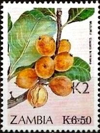 Stamp, Surcharged 2/6.50, Zambia,  , Fruits