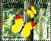 Stamp, Autumn Leaf Vagrant (Eronia leda), Tanzania,  , Animals (Fauna), Butterflies, Insects